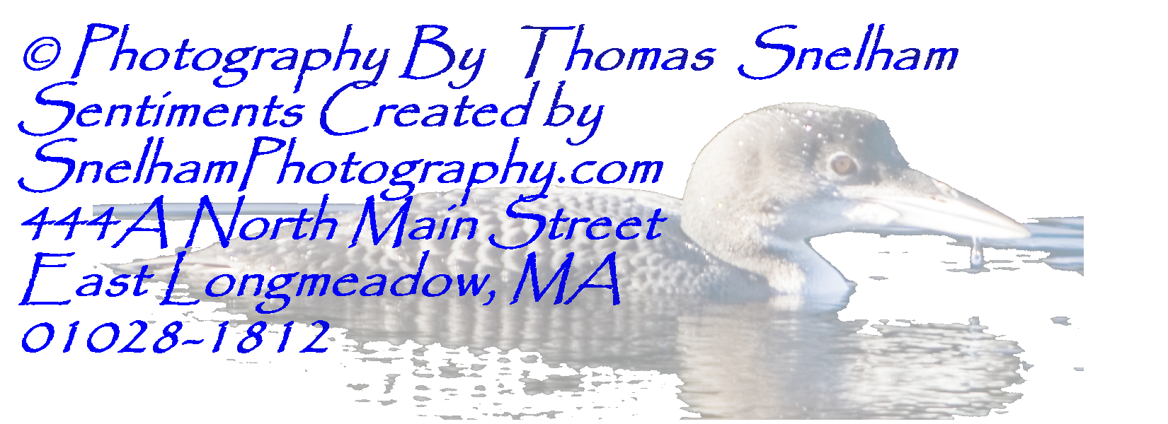 Click here to Go to Snelham Photography.com